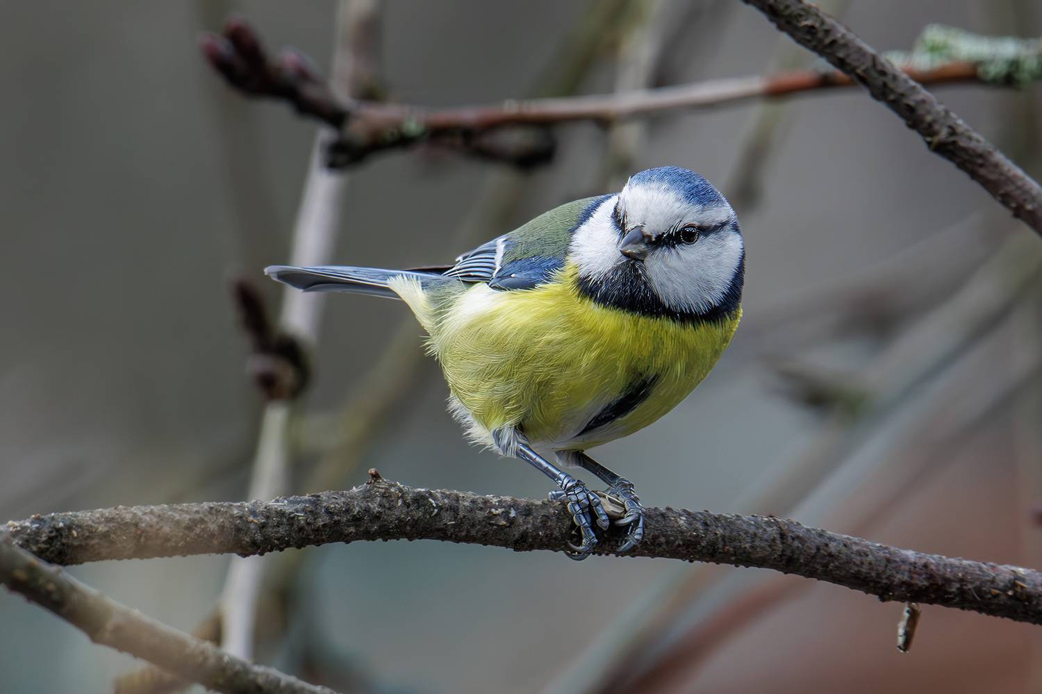 , Морозов Сергей