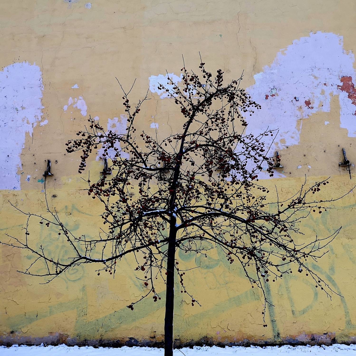 , Антон Лаба