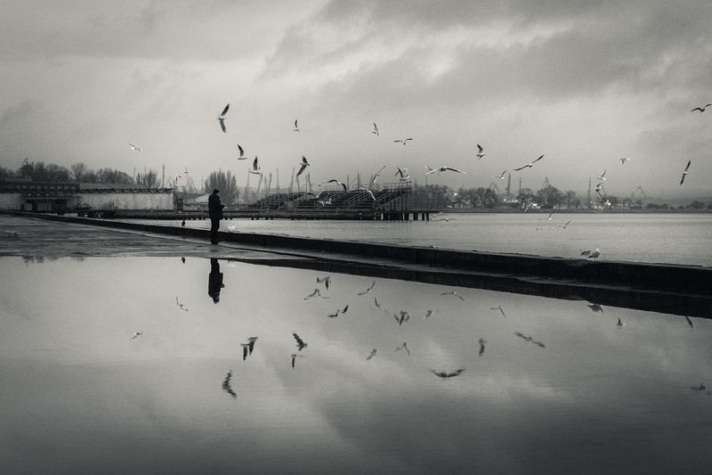 черно-белое, монохром, уличное, уличная фотография, зима, атмосферное, отражение,черное море, набережная, мужчина, птицы, чайки, кормление, событие, жизнь, мануальное, винтажная оптика, юпитер-8, керчь, крым, россия, Про зимнее подношение. фото превью