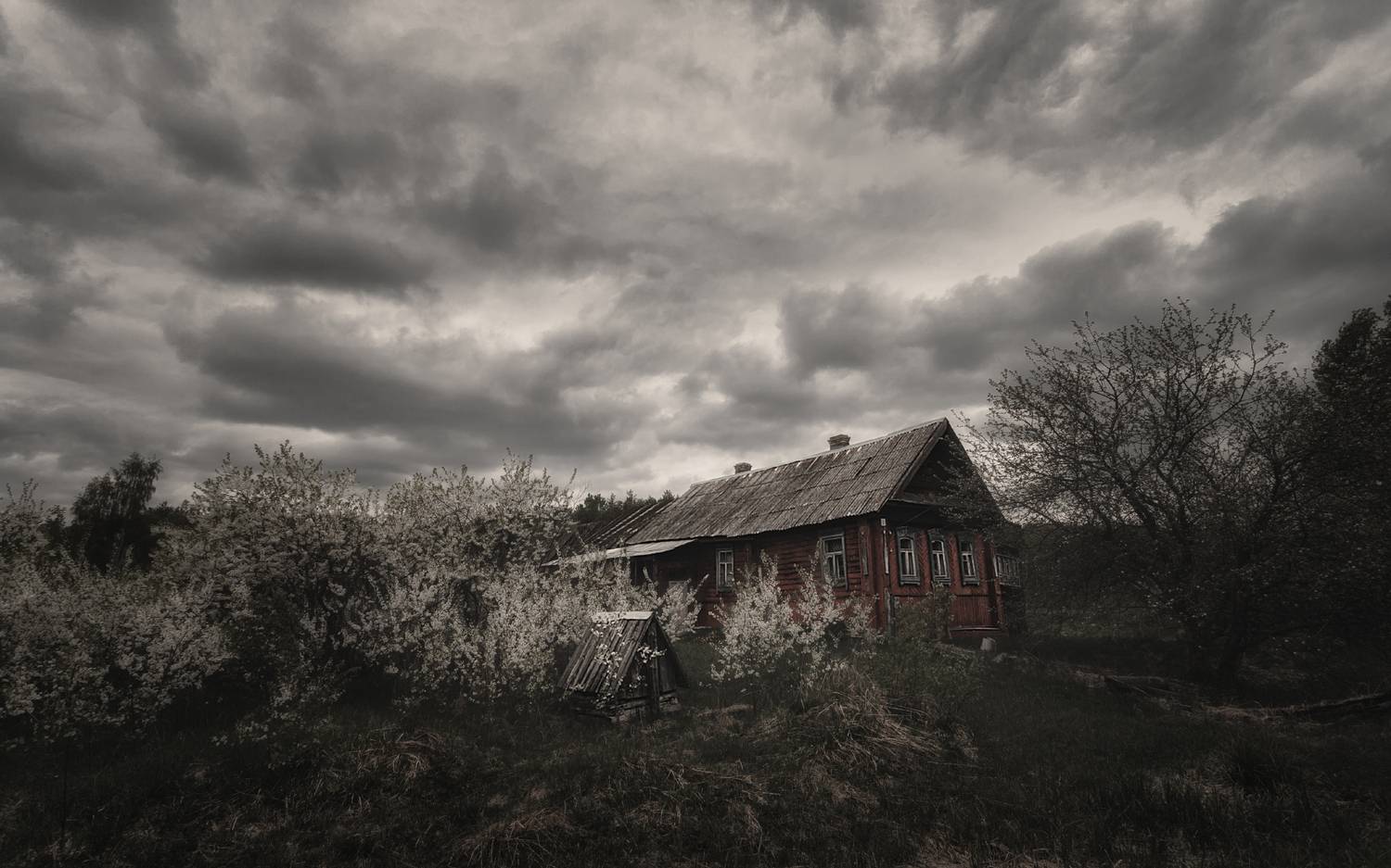 , Олег Дунаев