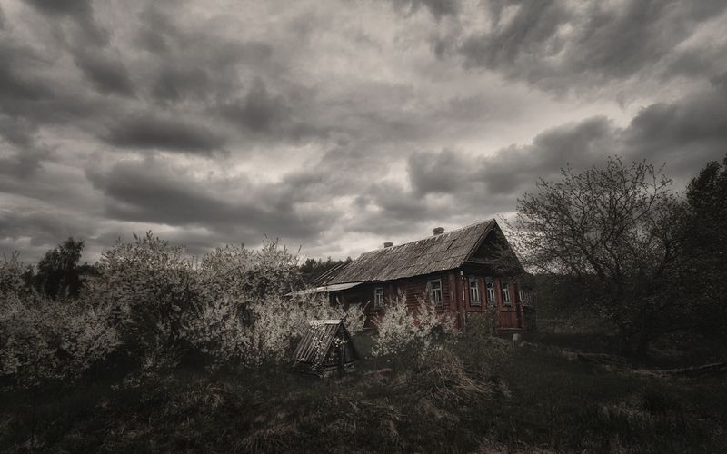 +++ фото превью