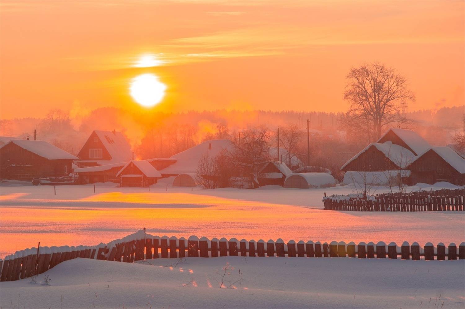 , Петр Косых