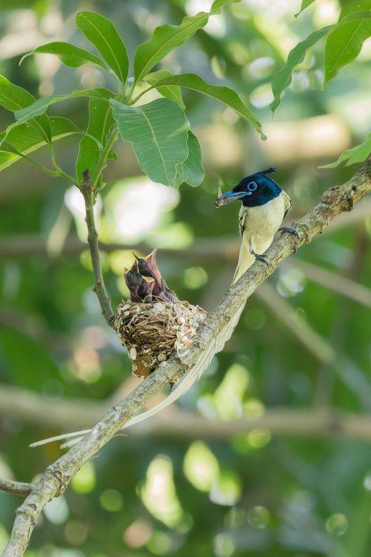 Feeding the Future фото превью