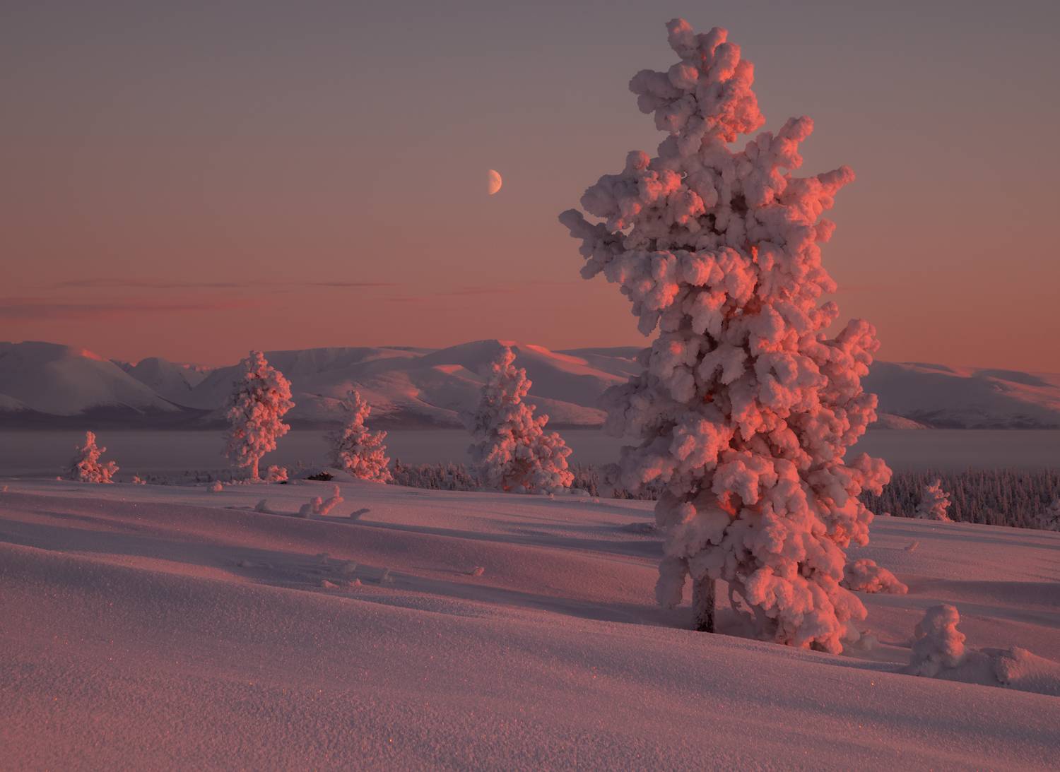 , Истомин Виталий