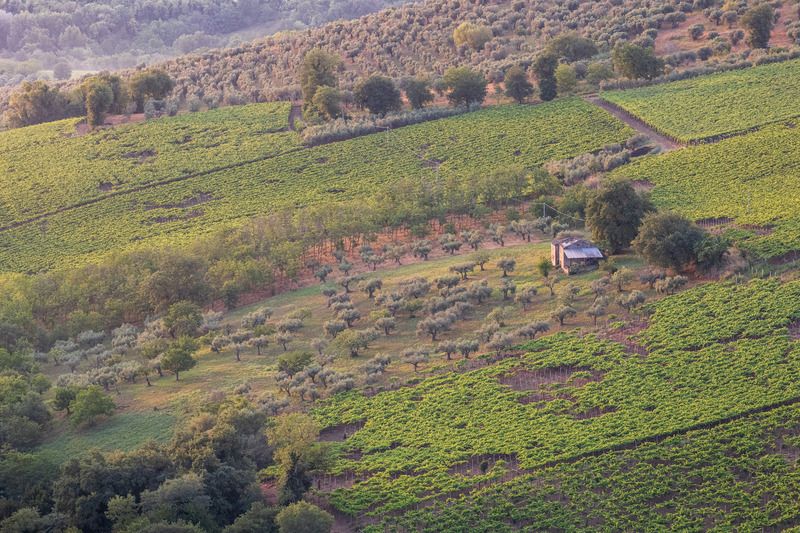 Утро где-то в Италии фото превью