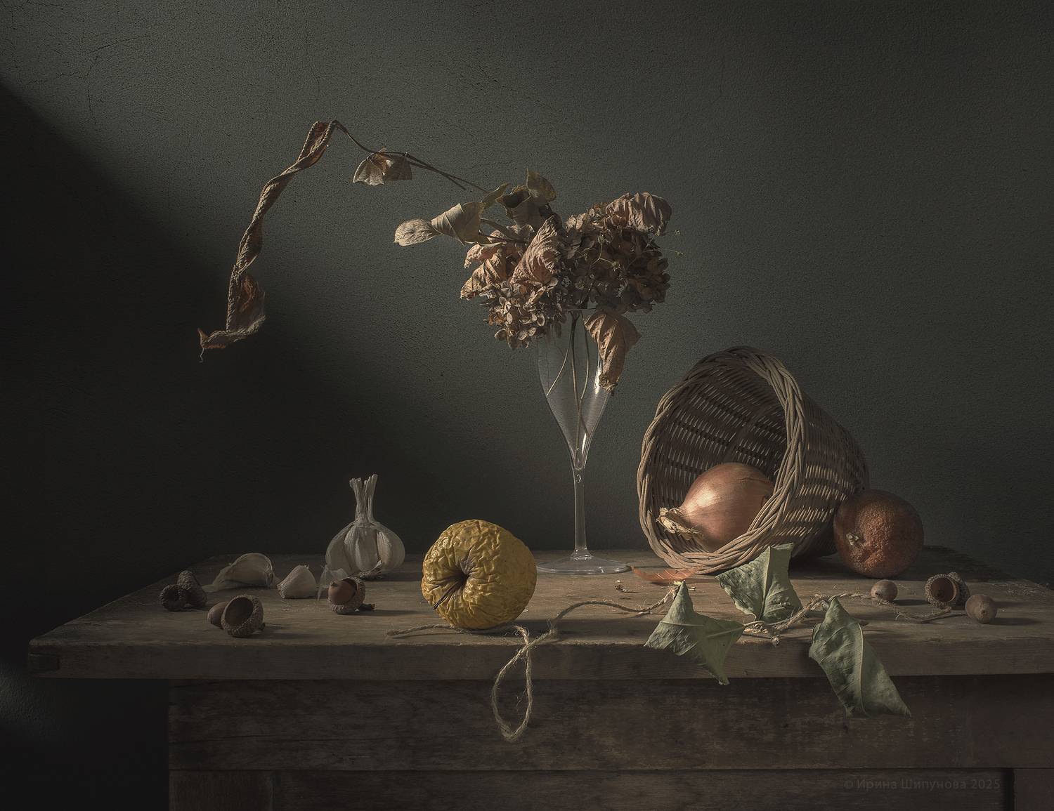 , Шипунова Ирина