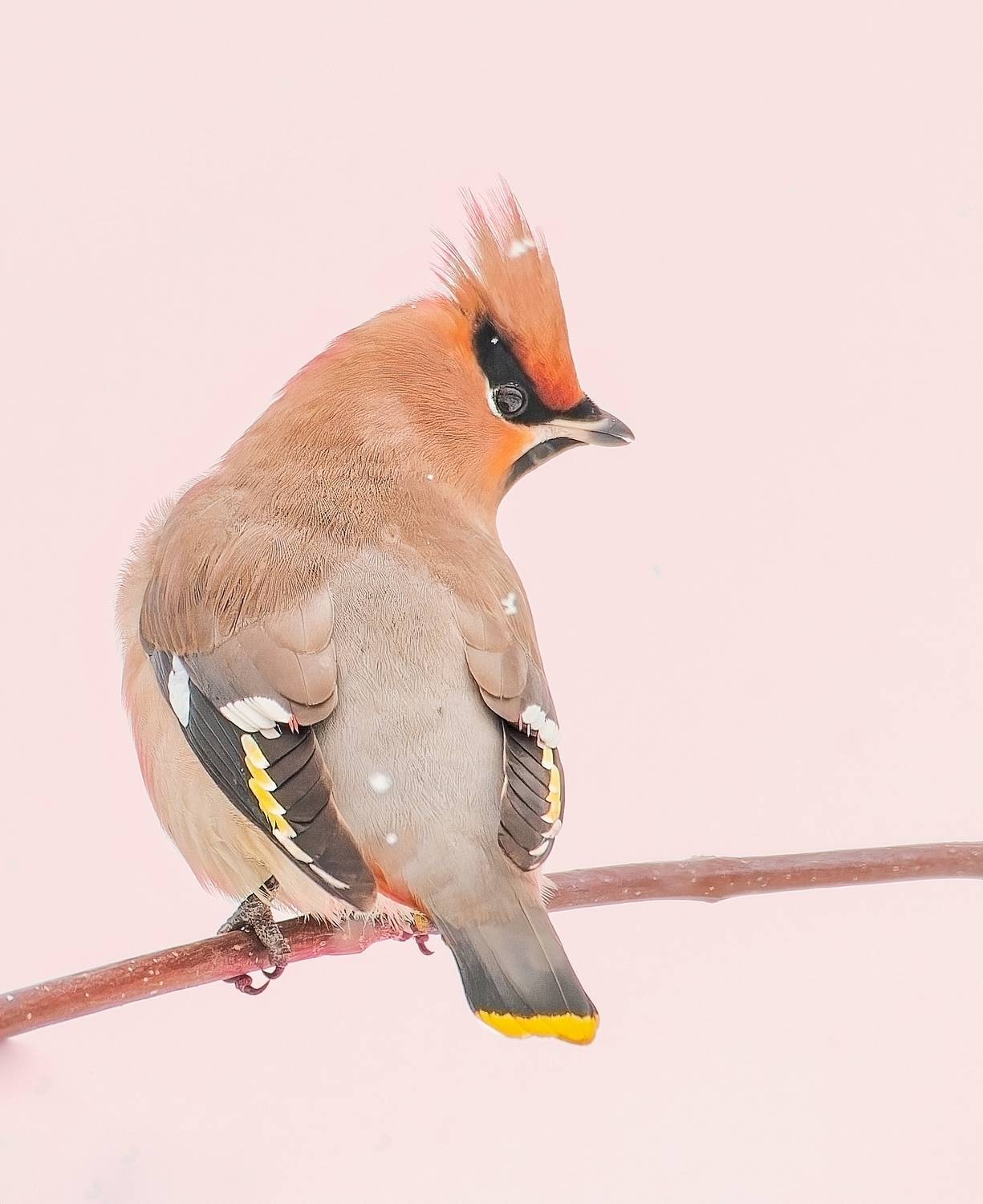 , Фото Александр