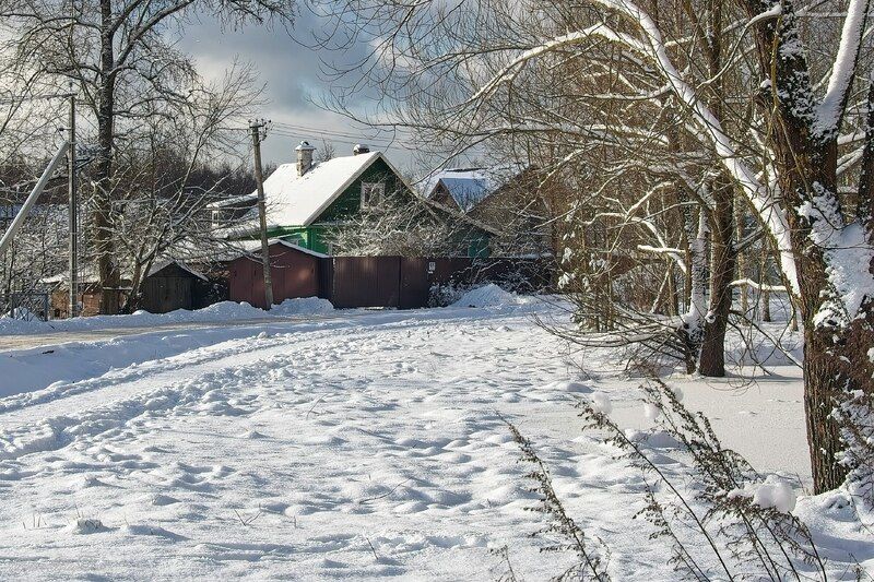 Морозный день... фото превью