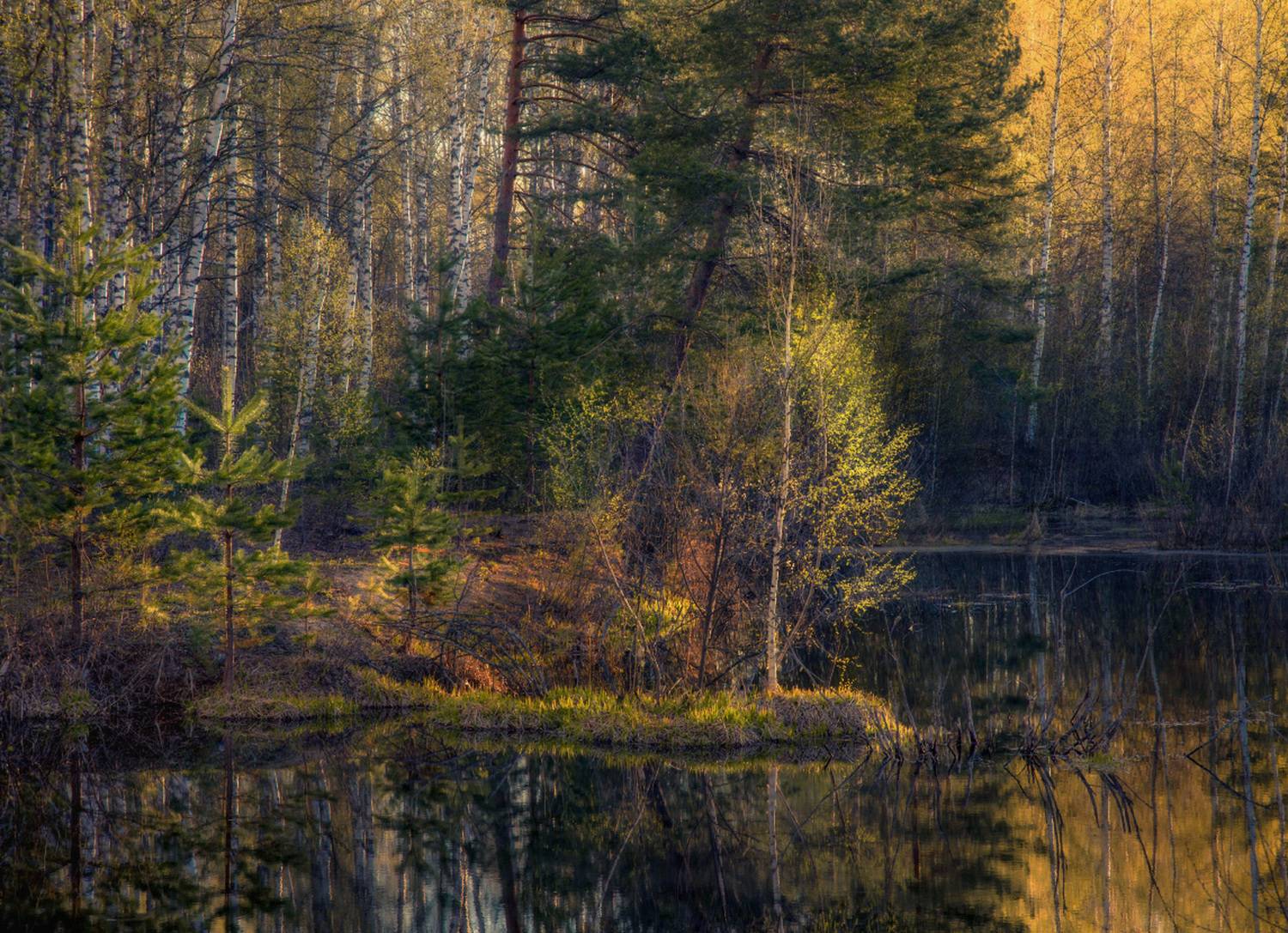 пейзаж апрель утро свет отражение лес березка вязниковский р-он, Алексеев Дмитрий