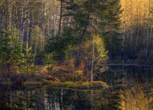Уютный уголок апрельского утра