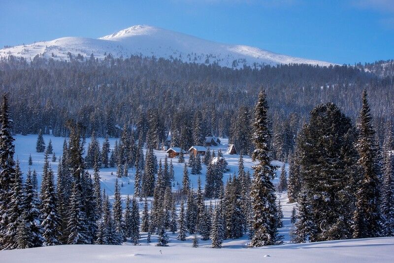 Солнечный день фото превью