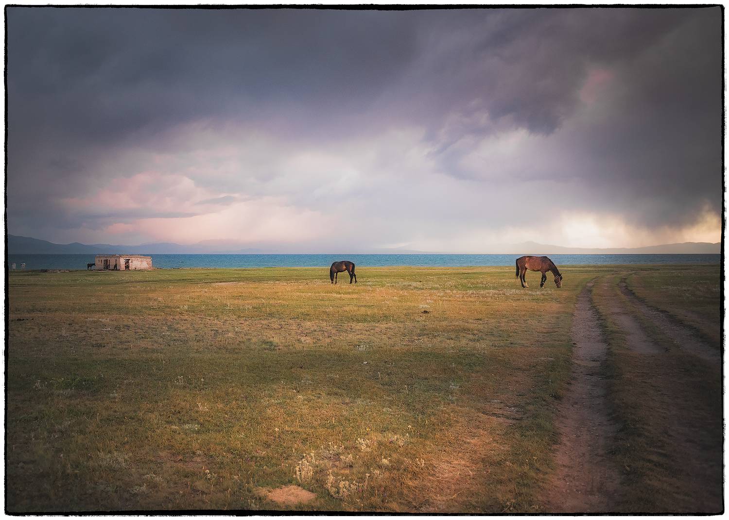 , Владимир Поляков