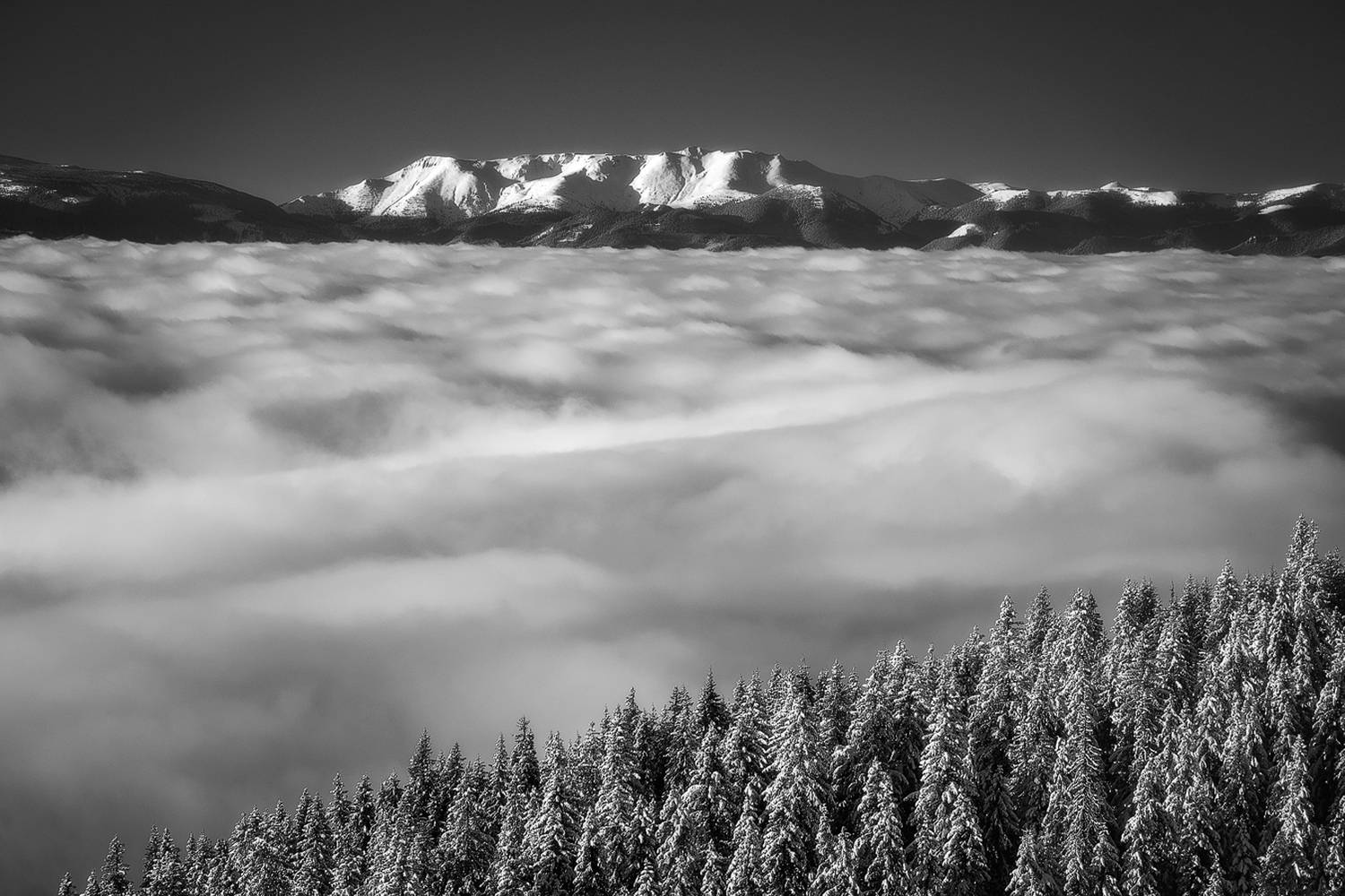 , Stefan Chirobocea
