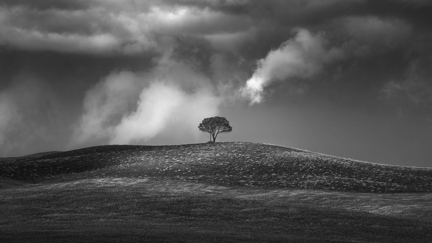 , de Franzoni Thomas