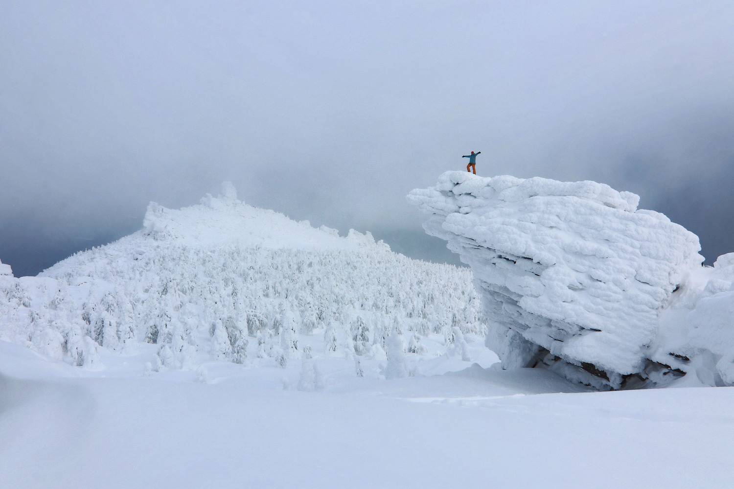, Добролюбова Тамара