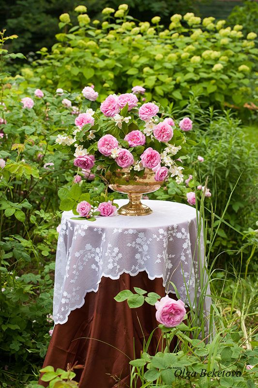 натюрморт, сад, цветы В саду фото превью