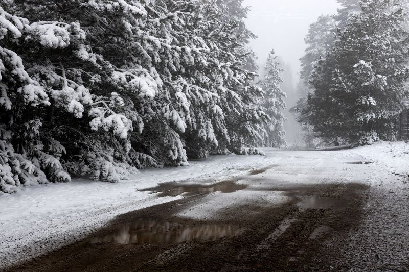 Зимние краски , Latgola фото превью