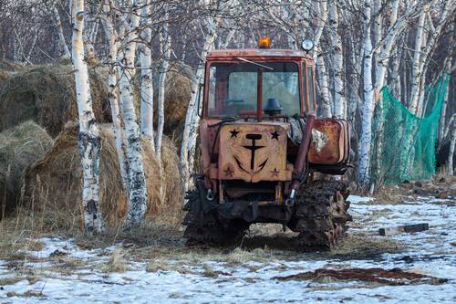 Морская душа