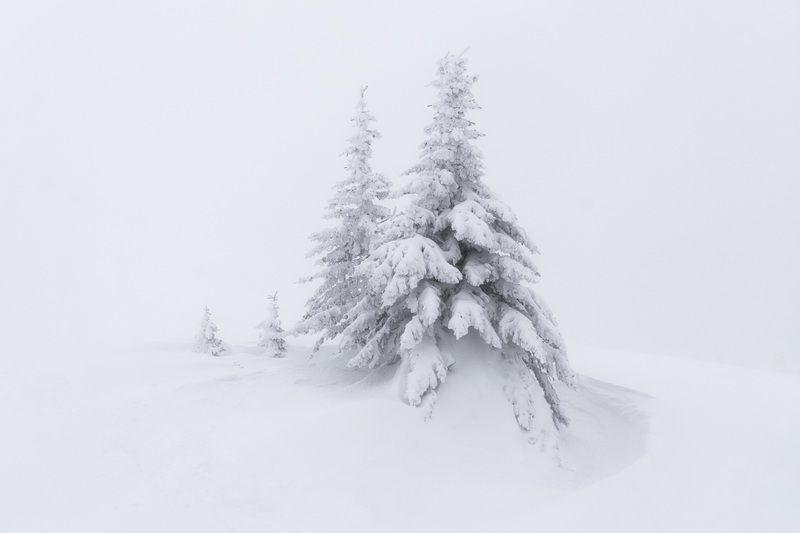 Спящие фото превью