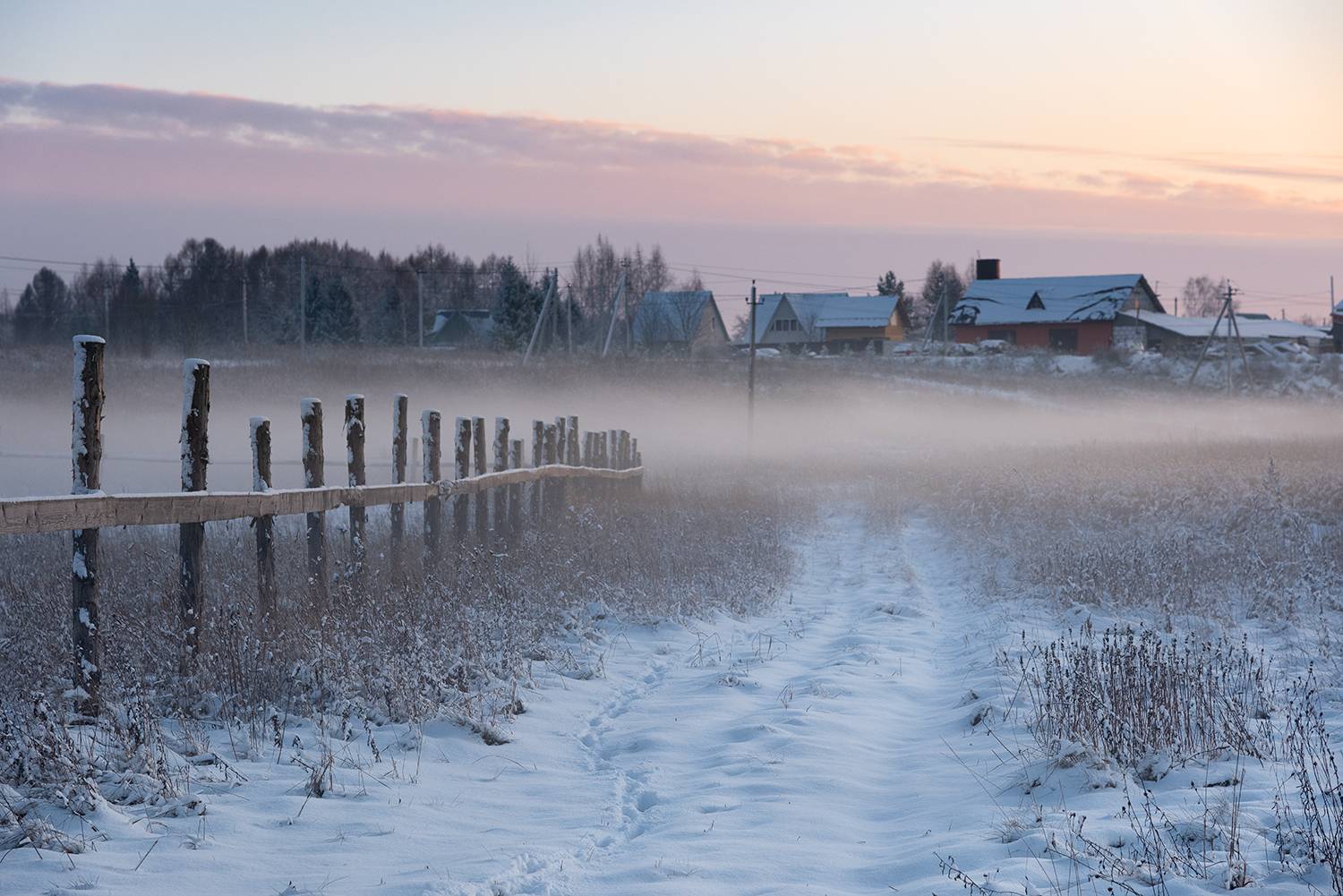 , Дмитрий Асеев