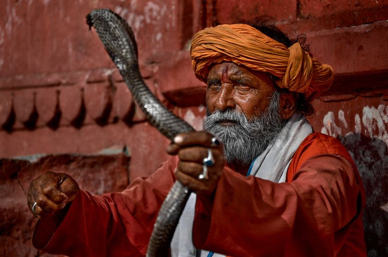 факир, индия, варанаси, змея, india, varanasi Факир фото превью