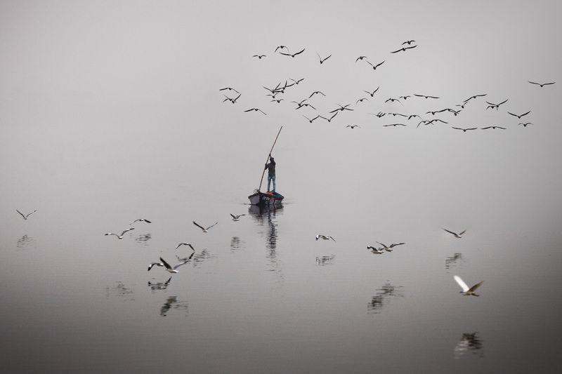 Fishing dreams фото превью