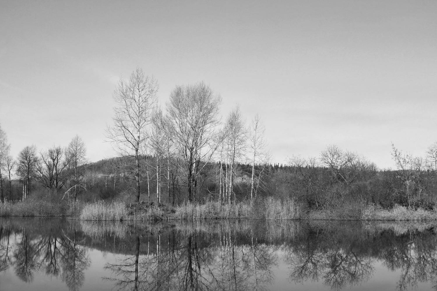 , Гагик Мхитарян