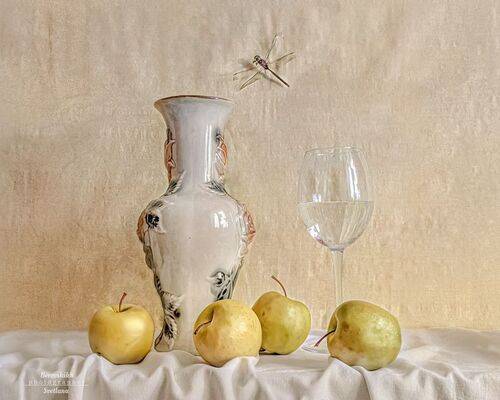 Яблоки и стрекоза