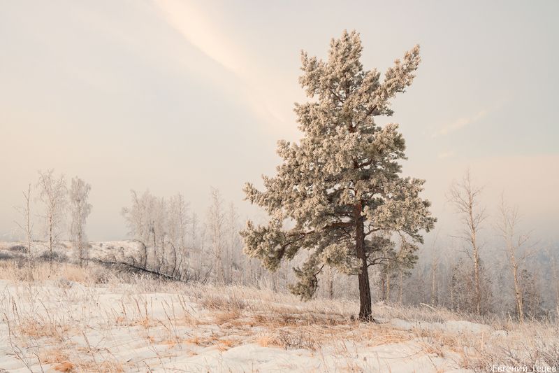 пейзаж, рассвет, зима, туман, россия, урал Пастельное утро фото превью