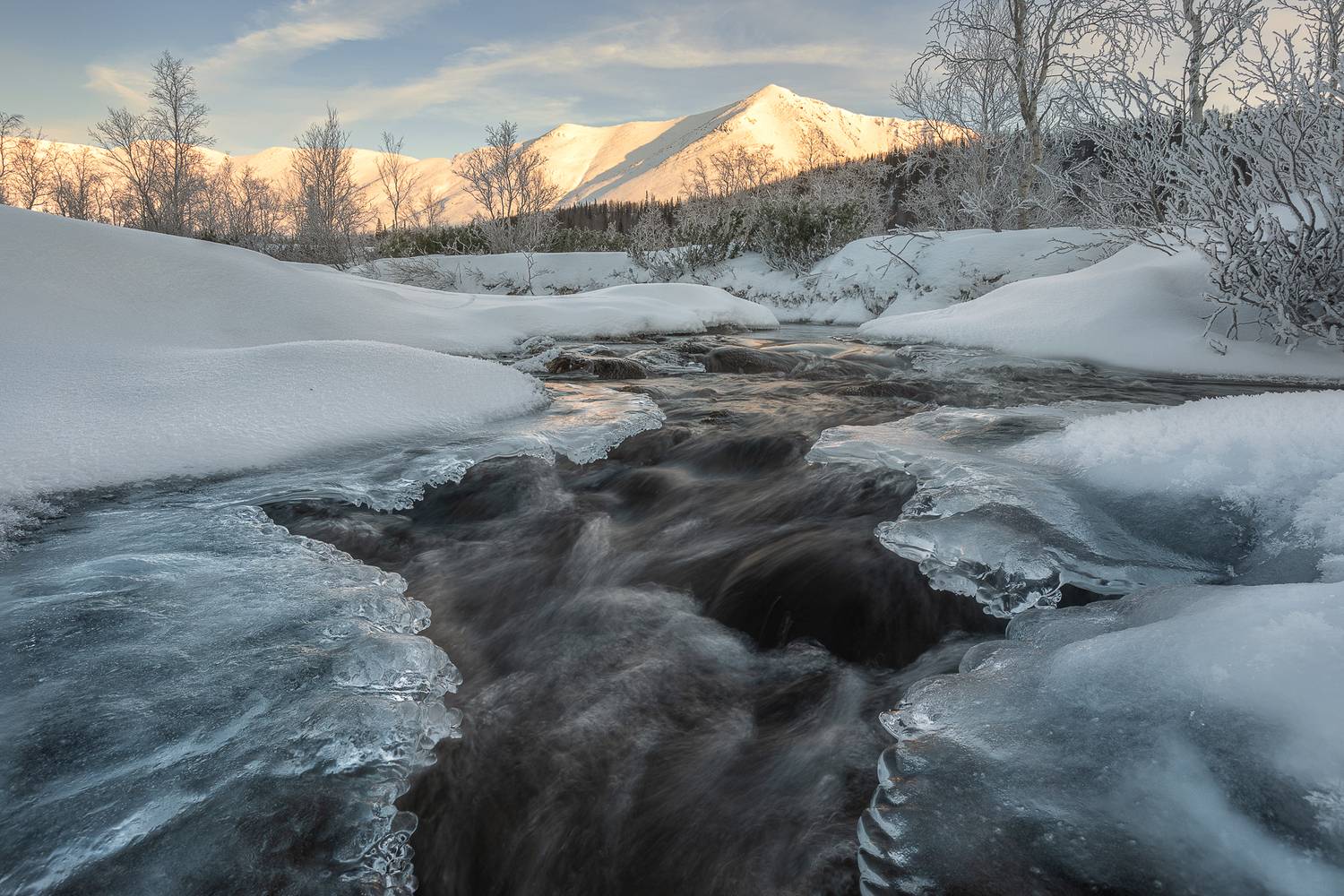 , Константин Маланин