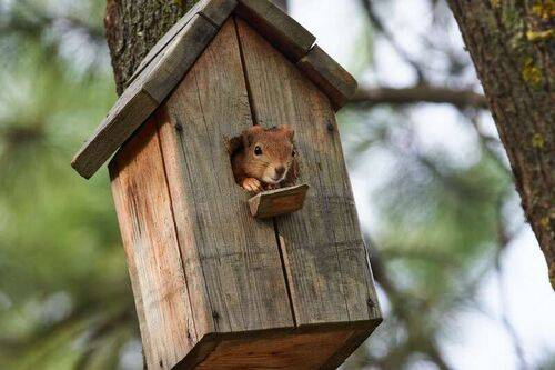 #