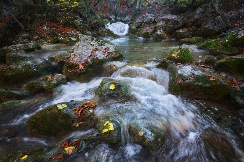 *** фото превью