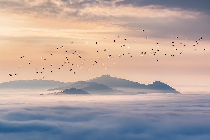 Pieniny фото превью