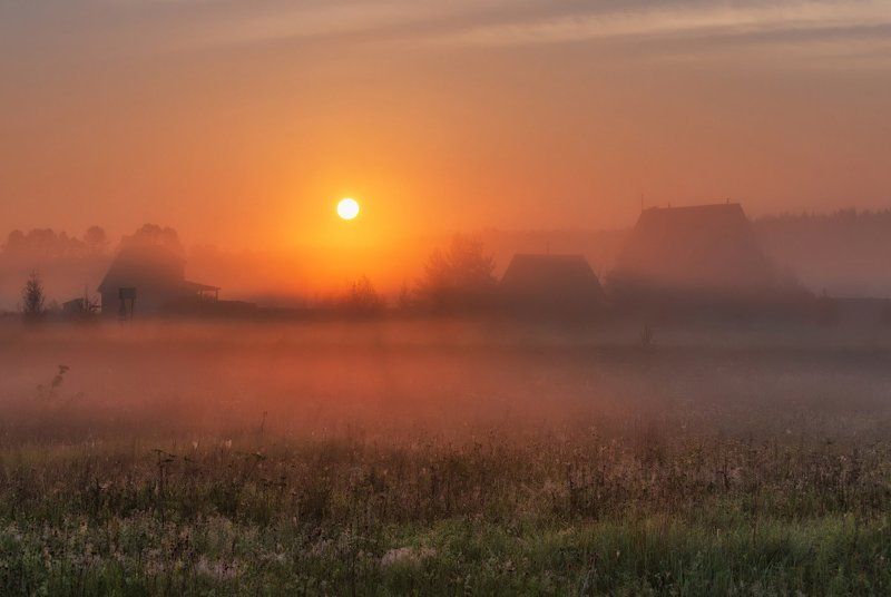 ярославская, область Дачные зарисовки. 2015. фото превью