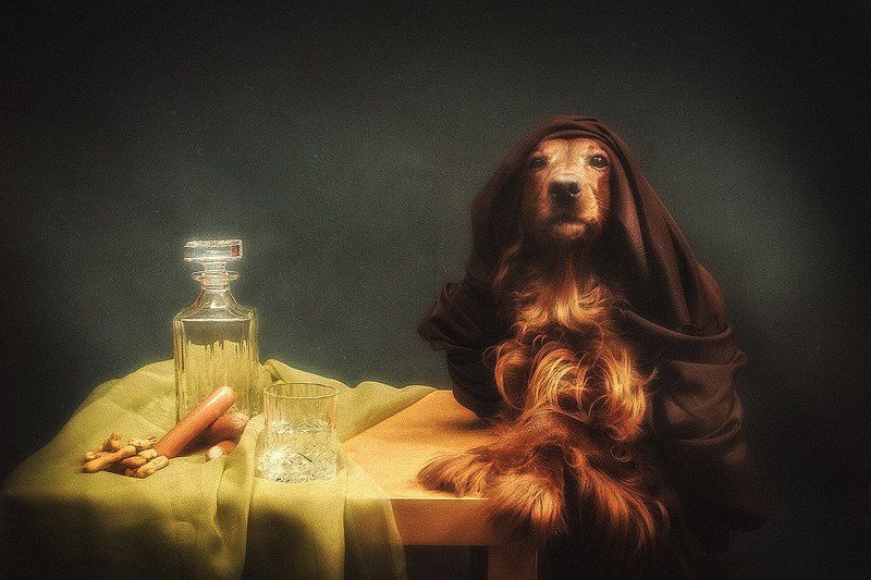 собака, сеттер, арт, портрет,  Домашний портрет фото превью