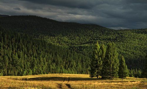 В вечернем свете