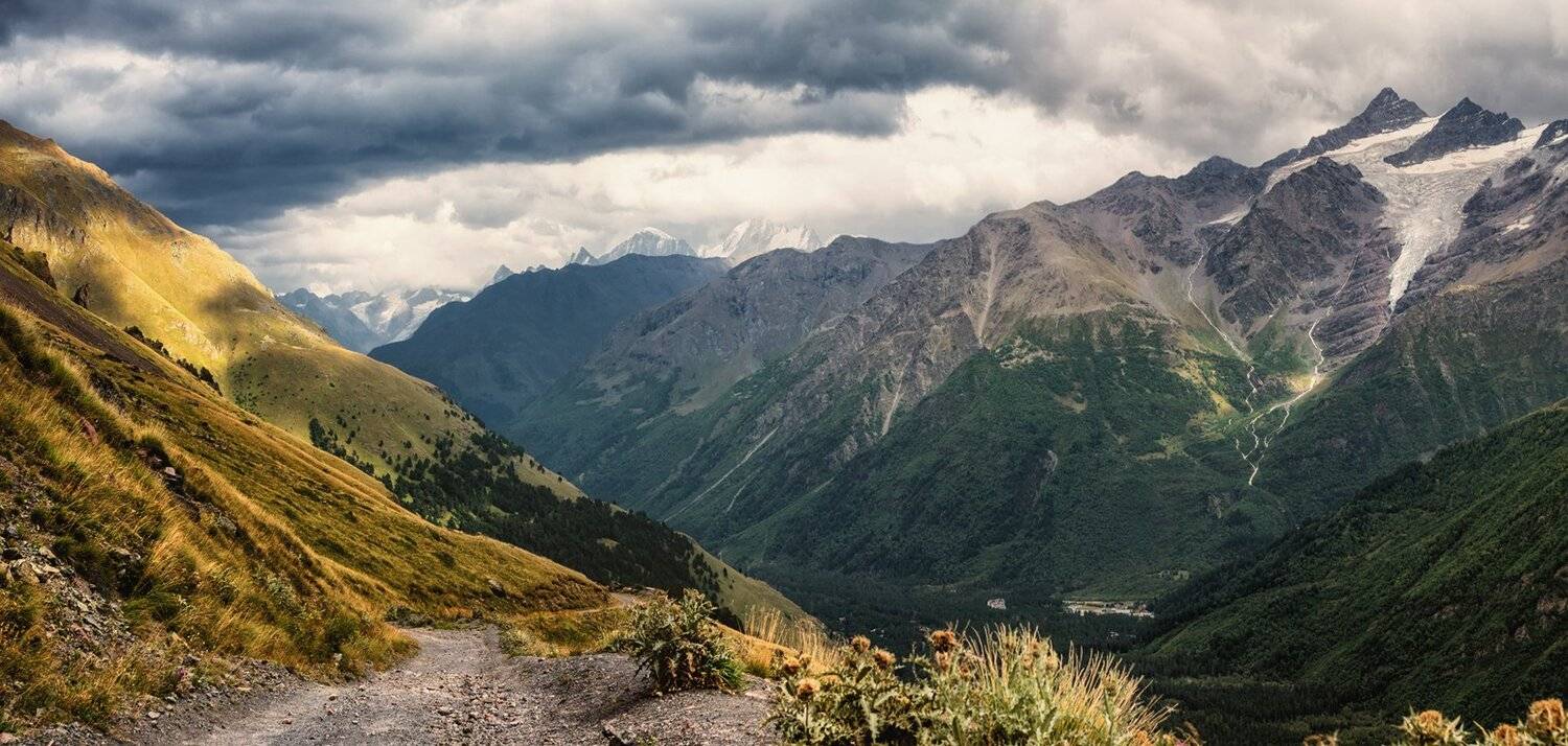 , Игорь Мелекесцев