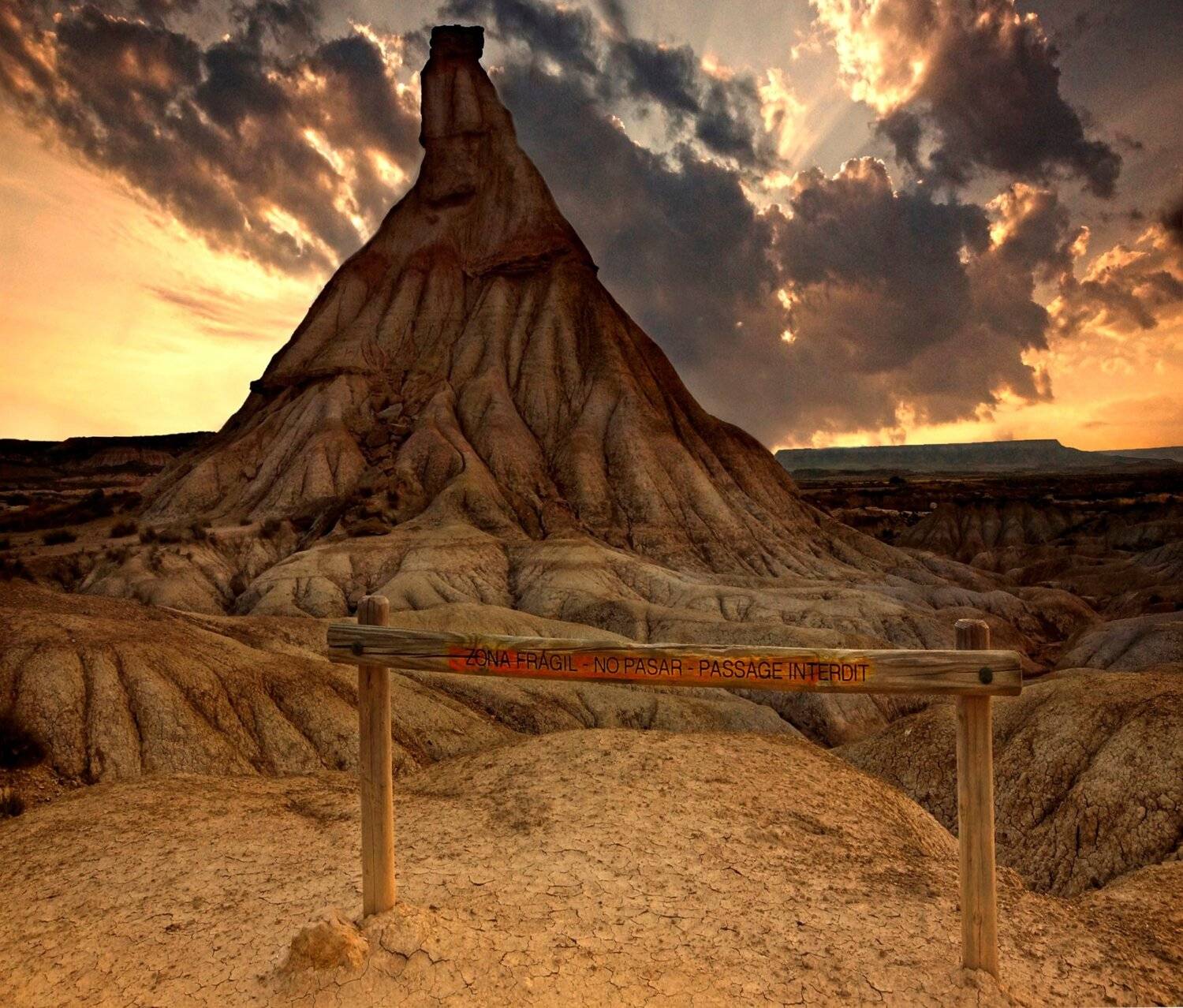 , Петр Косых