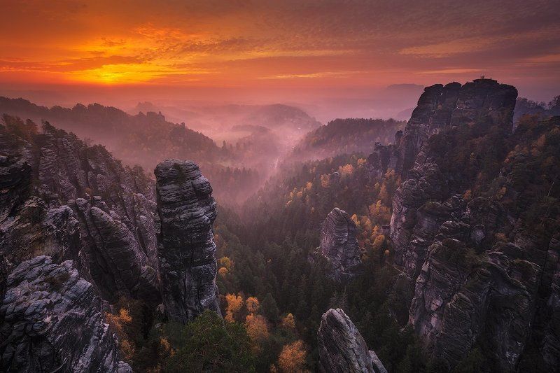 Saxony