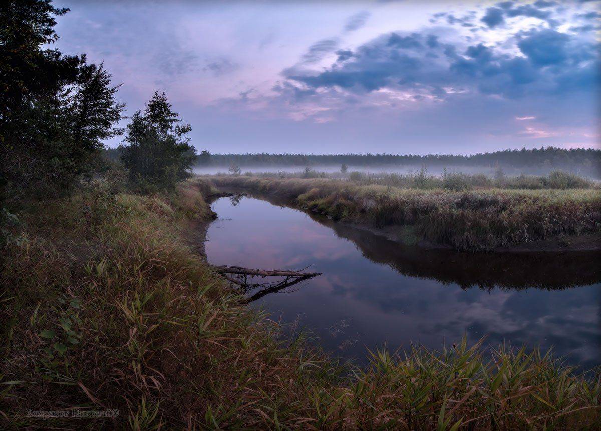 , Хохряков Николай
