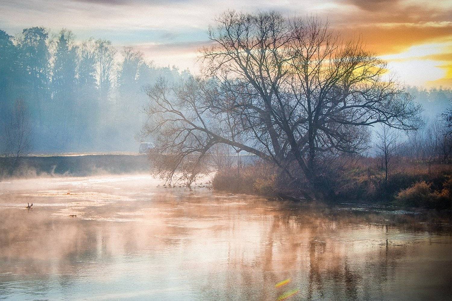 D3100, Landscape, Nature, Nikon, Московская область, Никон, Осень, Пейзаж, Пехорка, Подмосковье, Река, Россия, Денис Щербак