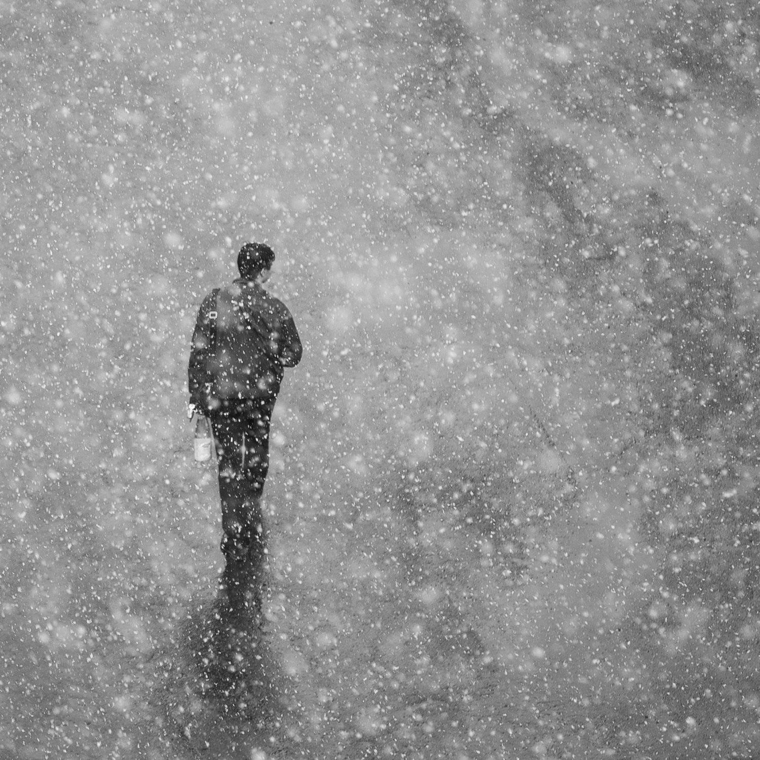 #dendzen, Денис Бондаренко