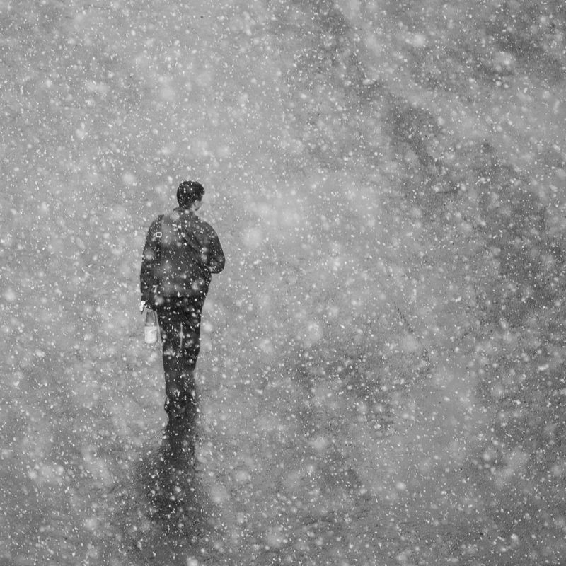 #dendzen Снег начнется фото превью