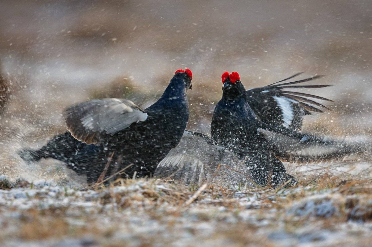 , Сергей Иванов