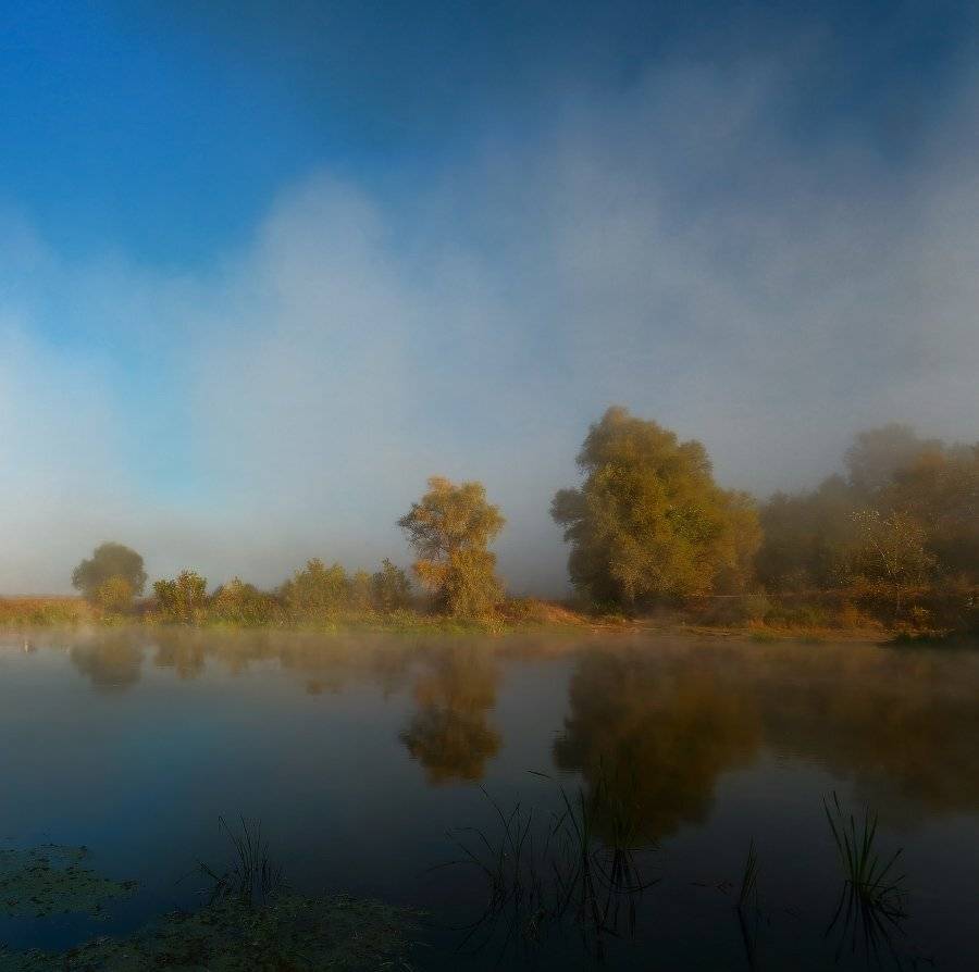 , Петриченко Валерий
