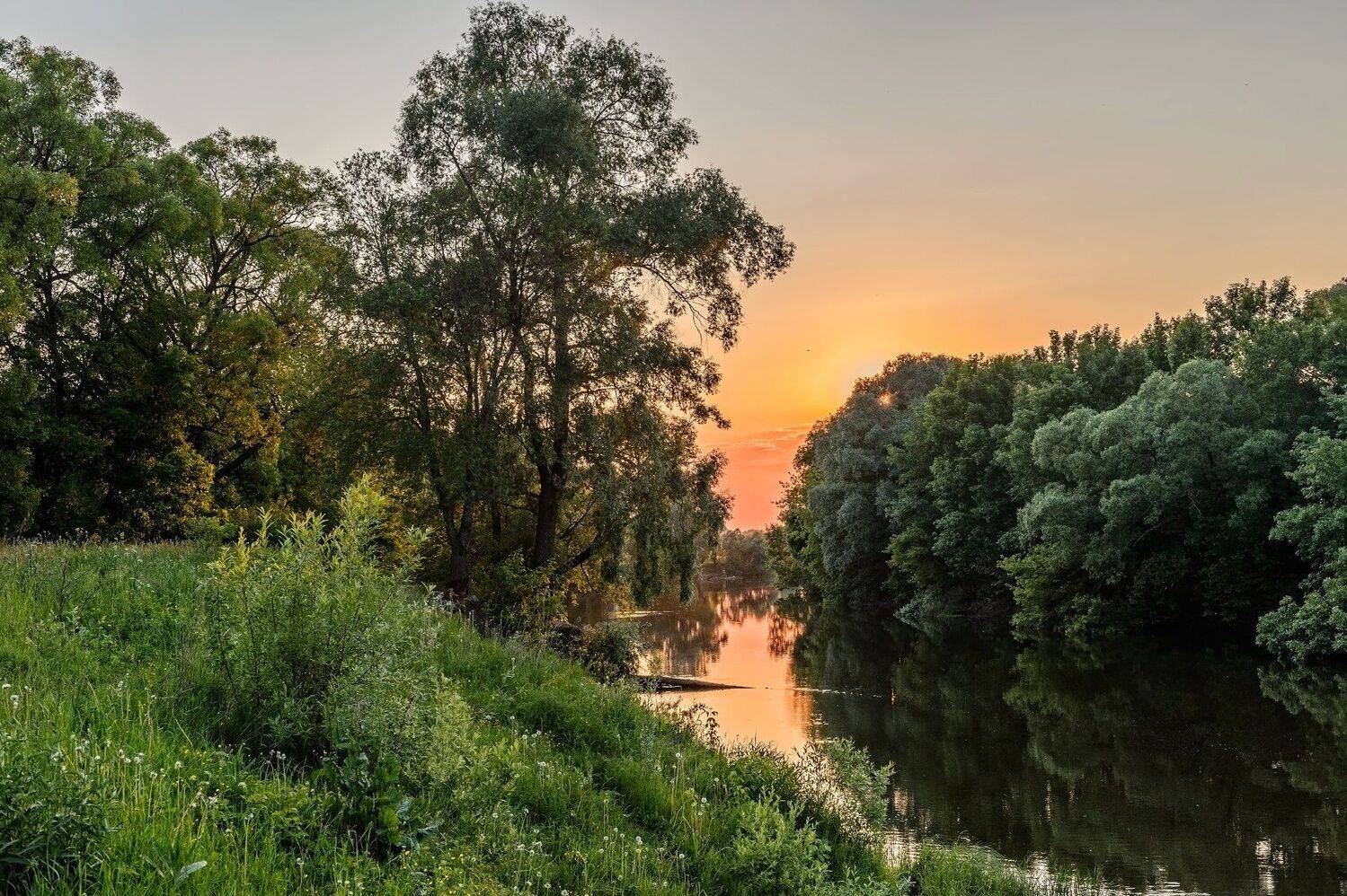 Вечер, Деревья, Закат, Красота, Летний пейзаж, Лето, Небо, Пейзаж, Природа, Река, Россия, Юлия Лаптева