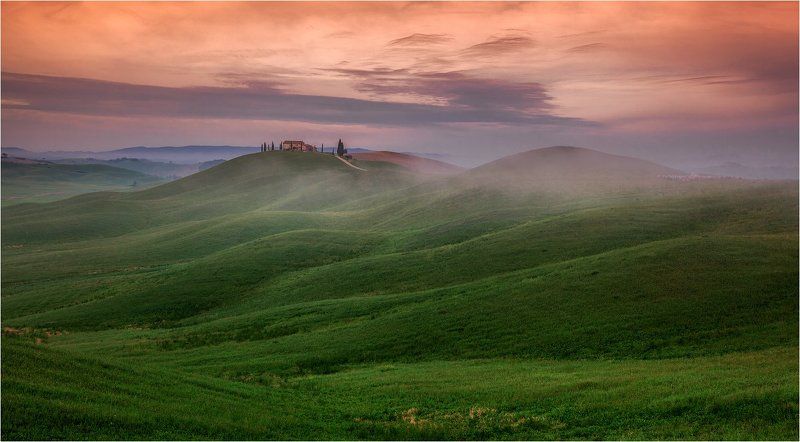 Tuscany grassland.