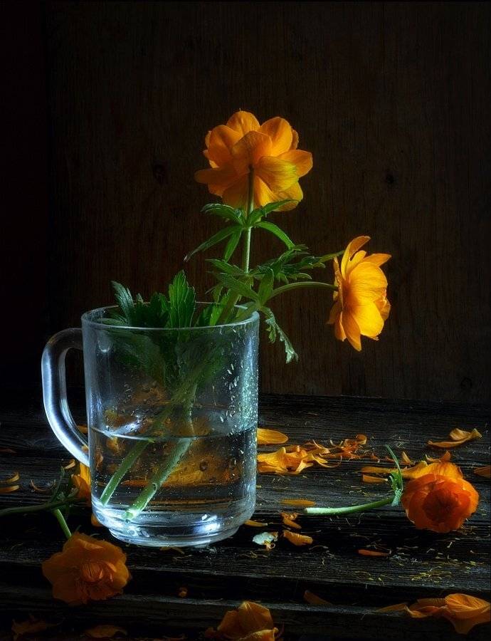 , Анатольевич