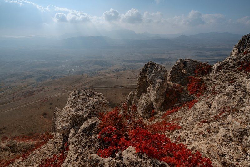 _ фото превью