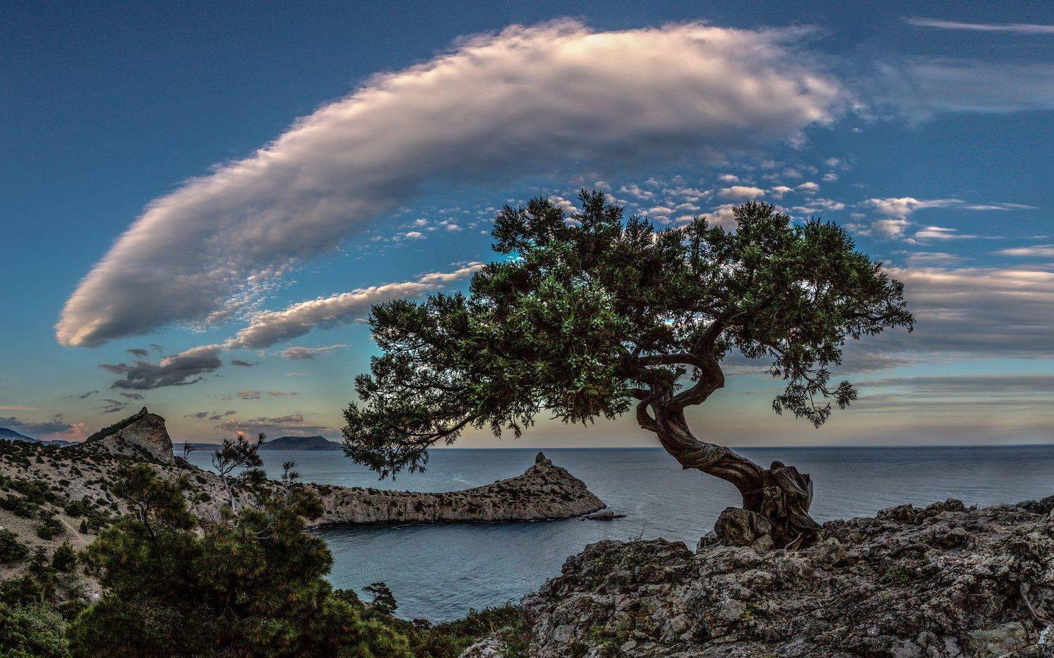 Крым, Новый свет, Алексей Сулоев